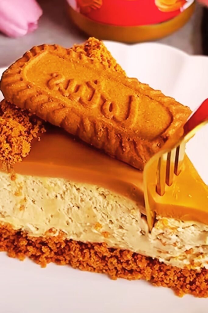 Ultime Individual Mini Biscoff Cheesecakes: The Ultimate Individual Dessert Experience ...